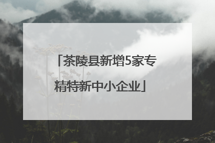 茶陵县新增5家专精特新中小企业
