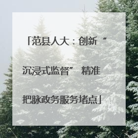 范县人大：创新“沉浸式监督” 精准把脉政务服务堵点