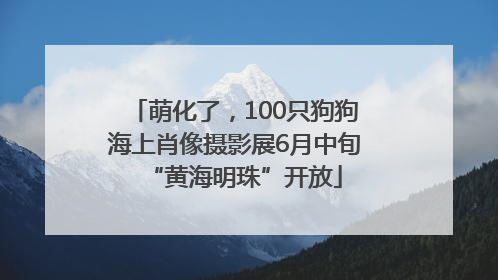 萌化了，100只狗狗海上肖像摄影展6月中旬“黄海明珠”开放