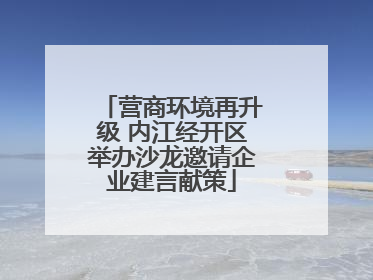 营商环境再升级 内江经开区举办沙龙邀请企业建言献策