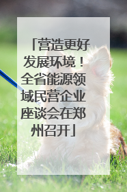 营造更好发展环境！全省能源领域民营企业座谈会在郑州召开