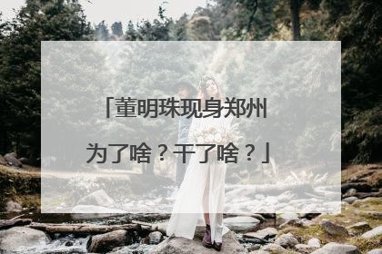 董明珠现身郑州 为了啥？干了啥？