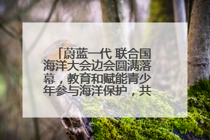 蔚蓝一代 联合国海洋大会边会圆满落幕,教育和赋能青少年参与海洋保护,共护珍贵蓝色家园