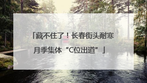 藏不住了！长春街头耐寒月季集体“C位出道”