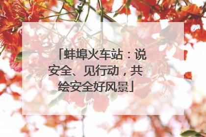 蚌埠火车站：说安全、见行动，共绘安全好风景