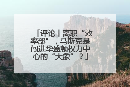 评论丨离职“效率部”，马斯克是闯进华盛顿权力中心的“大象”？