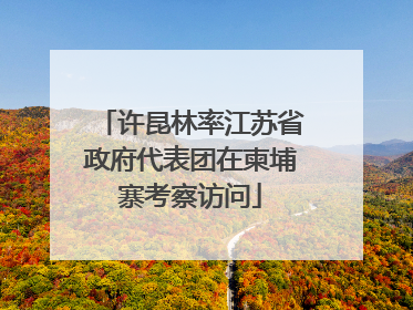 许昆林率江苏省政府代表团在柬埔寨考察访问
