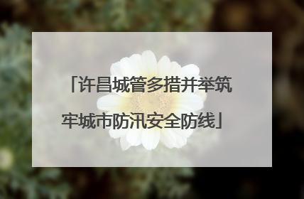 许昌城管多措并举筑牢城市防汛安全防线