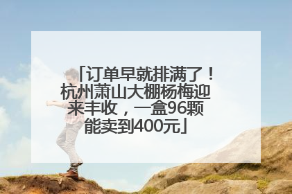 订单早就排满了！杭州萧山大棚杨梅迎来丰收，一盒96颗能卖到400元