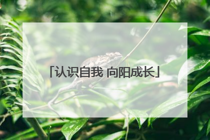 认识自我 向阳成长
