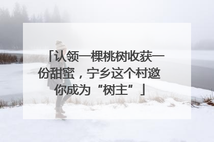 认领一棵桃树收获一份甜蜜，宁乡这个村邀你成为“树主”