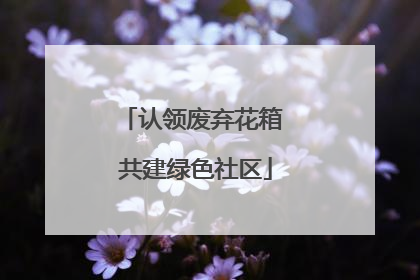 认领废弃花箱 共建绿色社区