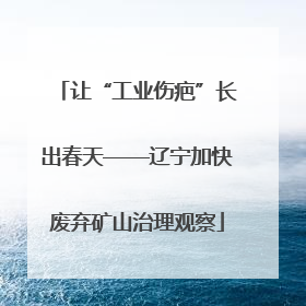 让“工业伤疤”长出春天——辽宁加快废弃矿山治理观察