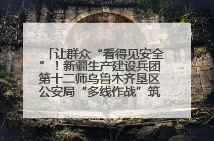 让群众“看得见安全”！新疆生产建设兵团第十二师乌鲁木齐垦区公安局“多线作战”筑牢辖区安全防线