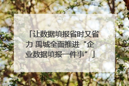 让数据填报省时又省力 禹城全面推进“企业数据填报一件事”