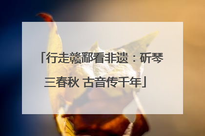 行走赣鄱看非遗：斫琴三春秋 古音传千年