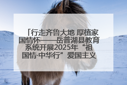 行走齐鲁大地 厚植家国情怀——岳普湖县教育系统开展2025年“祖国情·中华行”爱国主义参观研学活动