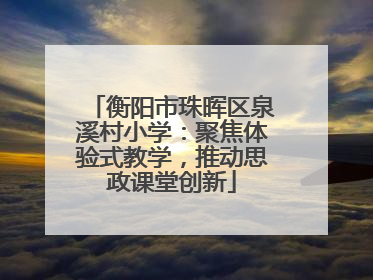 衡阳市珠晖区泉溪村小学：聚焦体验式教学，推动思政课堂创新