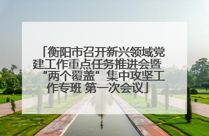 衡阳市召开新兴领域党建工作重点任务推进会暨“两个覆盖”集中攻坚工作专班 第一次会议