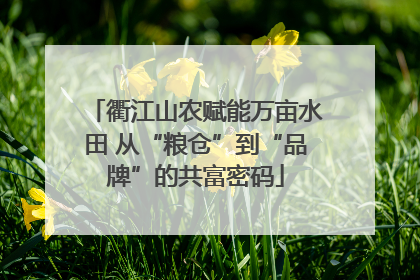 衢江山农赋能万亩水田 从“粮仓”到“品牌”的共富密码