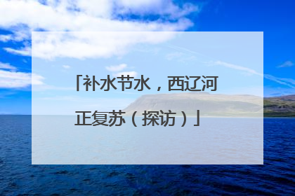 补水节水，西辽河正复苏（探访）