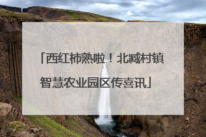 西红柿熟啦！北臧村镇智慧农业园区传喜讯