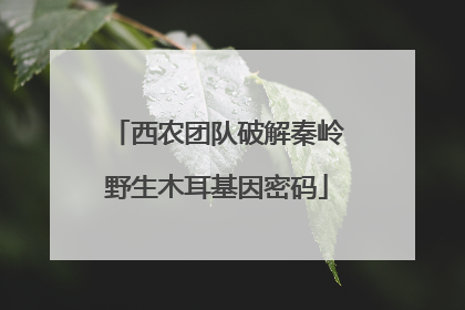 西农团队破解秦岭野生木耳基因密码