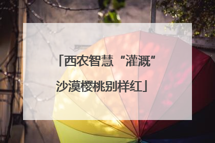 西农智慧“灌溉” 沙漠樱桃别样红