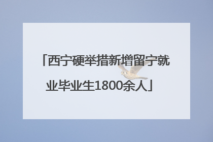 西宁硬举措新增留宁就业毕业生1800余人