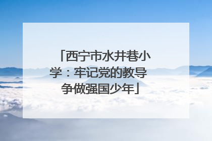 西宁市水井巷小学：牢记党的教导 争做强国少年