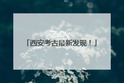 西安考古最新发现！