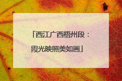 西江广西梧州段：霞光映照美如画