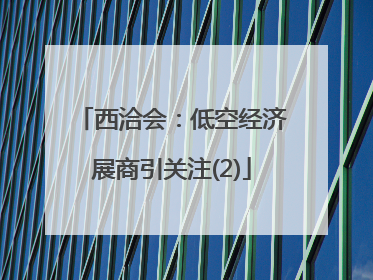 西洽会：低空经济展商引关注(2)