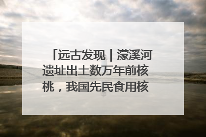 远古发现｜濛溪河遗址出土数万年前核桃，我国先民食用核桃历史大幅提前