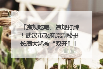 违规吃喝、违规打牌！武汉市政府原副秘书长周大鸿被“双开”