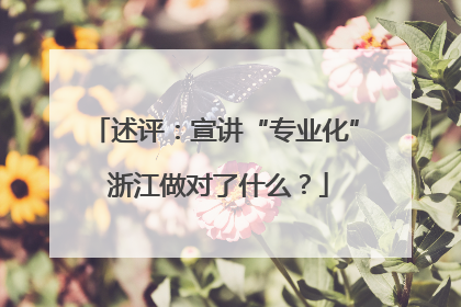 述评：宣讲“专业化” 浙江做对了什么？