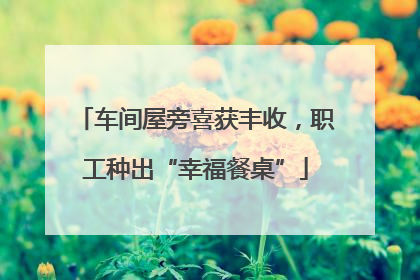 车间屋旁喜获丰收，职工种出“幸福餐桌”