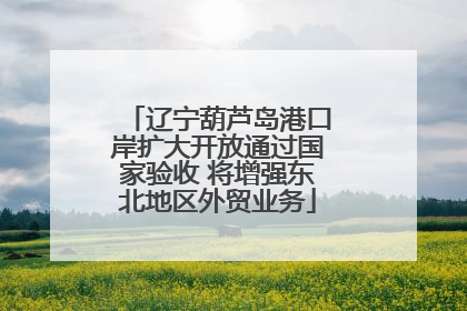 辽宁葫芦岛港口岸扩大开放通过国家验收 将增强东北地区外贸业务