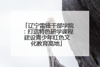 辽宁雷锋干部学院：打造特色研学课程 建设青少年红色文化教育高地