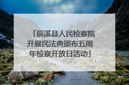 辰溪县人民检察院开展民法典颁布五周年检察开放日活动
