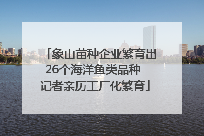 象山苗种企业繁育出26个海洋鱼类品种 记者亲历工厂化繁育