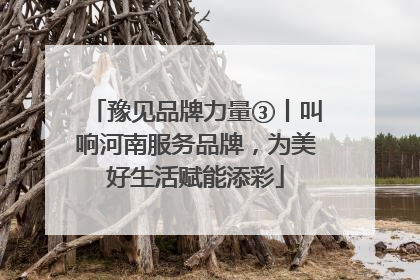 豫见品牌力量③丨叫响河南服务品牌，为美好生活赋能添彩