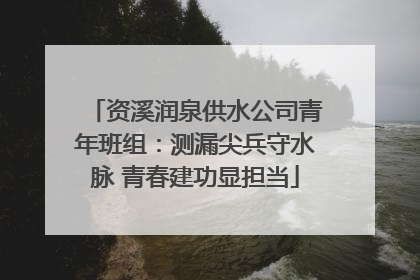 资溪润泉供水公司青年班组：测漏尖兵守水脉 青春建功显担当
