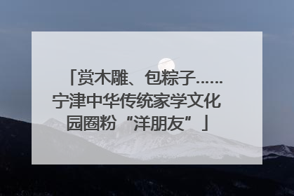 赏木雕、包粽子……宁津中华传统家学文化园圈粉“洋朋友”