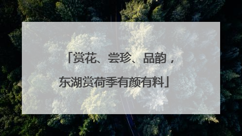 赏花、尝珍、品韵，东湖赏荷季有颜有料