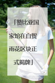 赞比亚国家馆在自贸雨花区块正式揭牌