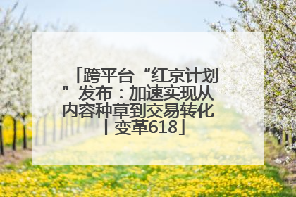 跨平台“红京计划”发布：加速实现从内容种草到交易转化丨变革618