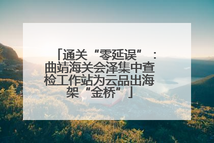 通关“零延误”：曲靖海关会泽集中查检工作站为云品出海架“金桥”