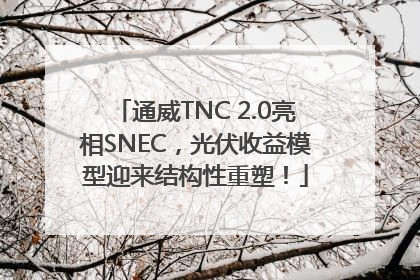 通威TNC 2.0亮相SNEC，光伏收益模型迎来结构性重塑！