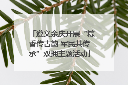 遵义余庆开展“粽香传古韵 军民共传承”双拥主题活动